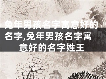 兔年男孩名字寓意好的名字,兔年男孩名字寓意好的名字姓王