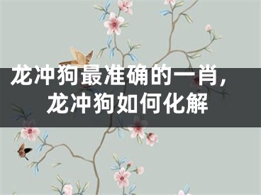 龙冲狗最准确的一肖,龙冲狗如何化解