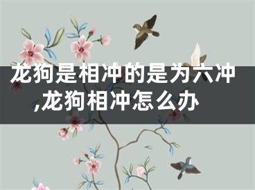 龙狗是相冲的是为六冲,龙狗相冲怎么办