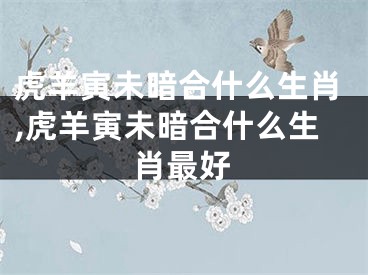 虎羊寅未暗合什么生肖,虎羊寅未暗合什么生肖最好