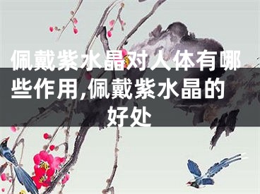 佩戴紫水晶对人体有哪些作用,佩戴紫水晶的好处