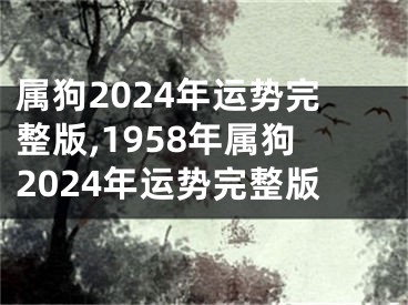 属狗2024年运势完整版,1958年属狗2024年运势完整版