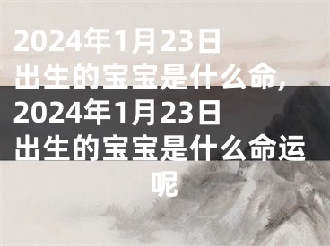 2024年1月23日出生的宝宝是什么命,2024年1月23日出生的宝宝是什么命运呢