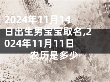 2024年11月14日出生男宝宝取名,2024年11月11日农历是多少