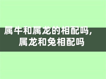 属牛和属龙的相配吗,属龙和兔相配吗
