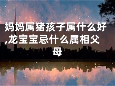 妈妈属猪孩子属什么好,龙宝宝忌什么属相父母