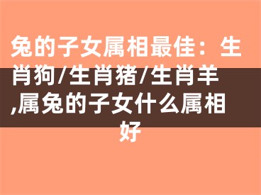 兔的子女属相最佳：生肖狗/生肖猪/生肖羊,属兔的子女什么属相好