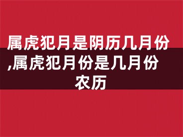 属虎犯月是阴历几月份,属虎犯月份是几月份农历