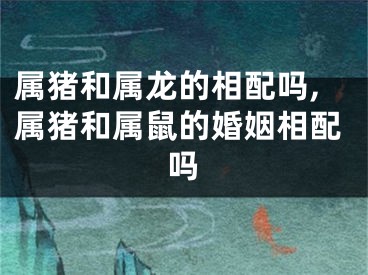 属猪和属龙的相配吗,属猪和属鼠的婚姻相配吗