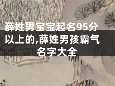薛姓男宝宝起名95分以上的,薛姓男孩霸气名字大全