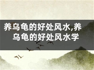 养乌龟的好处风水,养乌龟的好处风水学