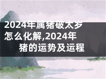 2024年属猪破太岁怎么化解,2024年猪的运势及运程