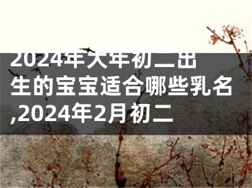 2024年大年初二出生的宝宝适合哪些乳名,2024年2月初二