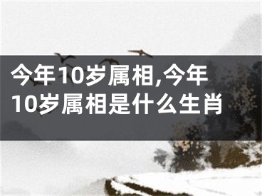 今年10岁属相,今年10岁属相是什么生肖
