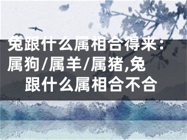 兔跟什么属相合得来：属狗/属羊/属猪,兔跟什么属相合不合