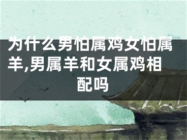 为什么男怕属鸡女怕属羊,男属羊和女属鸡相配吗