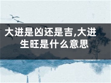 大进是凶还是吉,大进生旺是什么意思