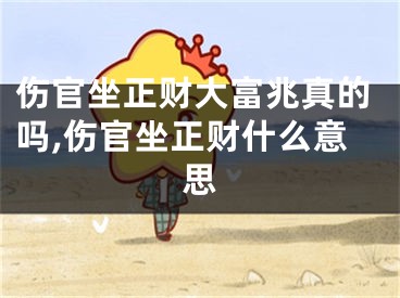 伤官坐正财大富兆真的吗,伤官坐正财什么意思
