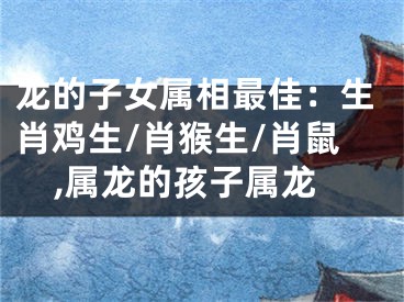 龙的子女属相最佳：生肖鸡生/肖猴生/肖鼠,属龙的孩子属龙