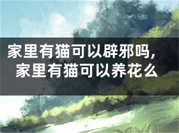 家里有猫可以辟邪吗,家里有猫可以养花么