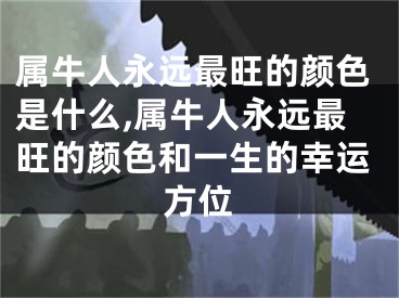 属牛人永远最旺的颜色是什么,属牛人永远最旺的颜色和一生的幸运方位