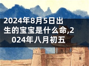 2024年8月5日出生的宝宝是什么命,2024年八月初五