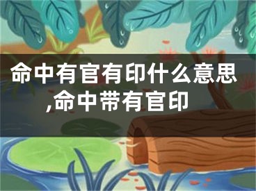 命中有官有印什么意思,命中带有官印