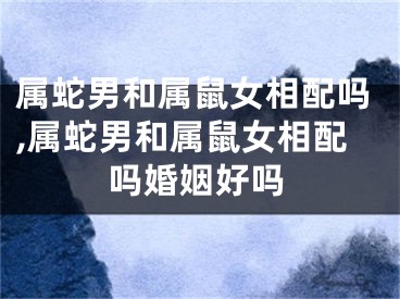 属蛇男和属鼠女相配吗,属蛇男和属鼠女相配吗婚姻好吗