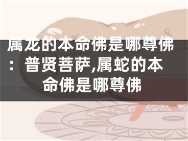 属龙的本命佛是哪尊佛：普贤菩萨,属蛇的本命佛是哪尊佛