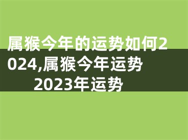 属猴今年的运势如何2024,属猴今年运势2023年运势