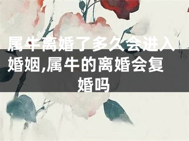 属牛离婚了多久会进入婚姻,属牛的离婚会复婚吗