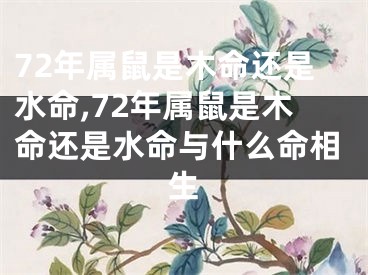 72年属鼠是木命还是水命,72年属鼠是木命还是水命与什么命相生