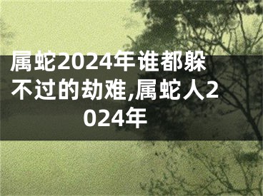 属蛇2024年谁都躲不过的劫难,属蛇人2024年