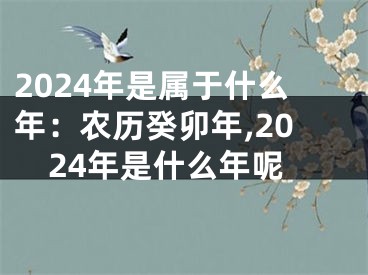 2024年是属于什么年：农历癸卯年,2024年是什么年呢
