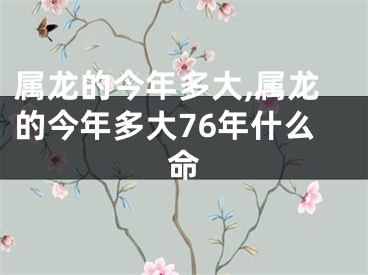 属龙的今年多大,属龙的今年多大76年什么命