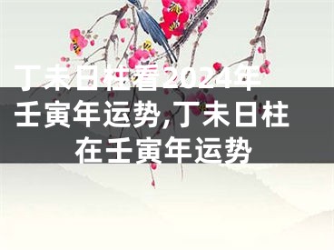 丁未日柱看2024年壬寅年运势,丁未日柱在壬寅年运势