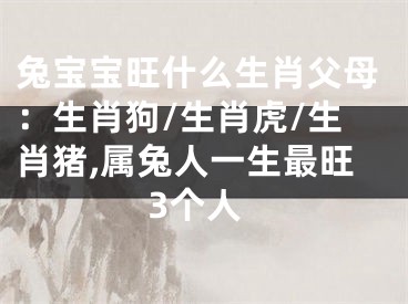 兔宝宝旺什么生肖父母：生肖狗/生肖虎/生肖猪,属兔人一生最旺3个人