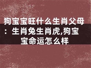 狗宝宝旺什么生肖父母：生肖兔生肖虎,狗宝宝命运怎么样
