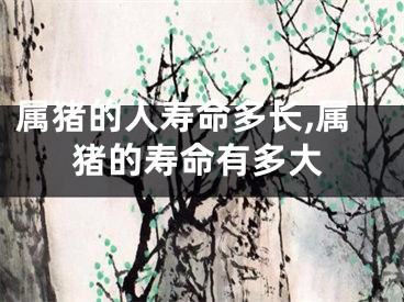 属猪的人寿命多长,属猪的寿命有多大