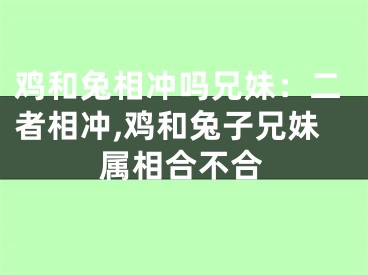 鸡和兔相冲吗兄妹：二者相冲,鸡和兔子兄妹属相合不合