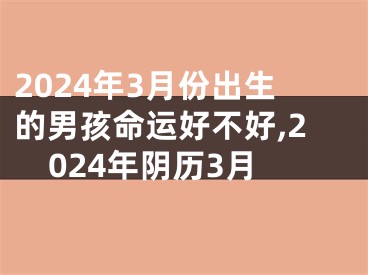 2024年3月份出生的男孩命运好不好,2024年阴历3月