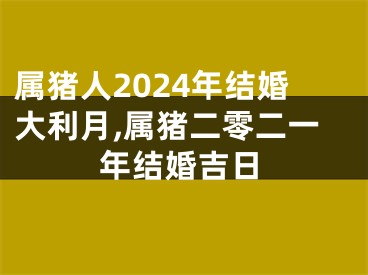 属猪人2024年结婚大利月,属猪二零二一年结婚吉日