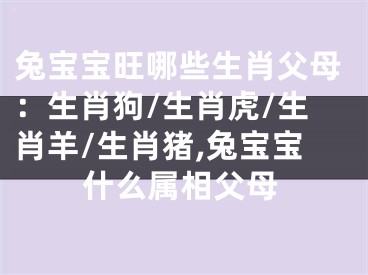 兔宝宝旺哪些生肖父母：生肖狗/生肖虎/生肖羊/生肖猪,兔宝宝什么属相父母