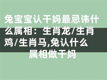 兔宝宝认干妈最忌讳什么属相：生肖龙/生肖鸡/生肖马,兔认什么属相做干妈