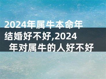 2024年属牛本命年结婚好不好,2024年对属牛的人好不好