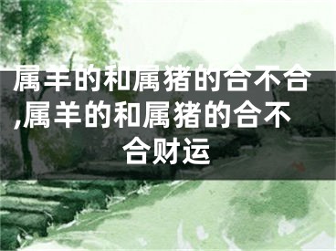属羊的和属猪的合不合,属羊的和属猪的合不合财运
