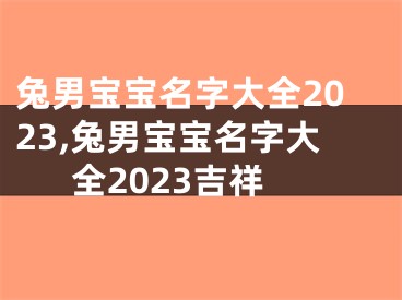 兔男宝宝名字大全2023,兔男宝宝名字大全2023吉祥