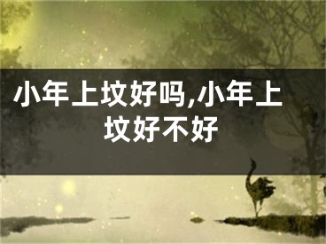小年上坟好吗,小年上坟好不好