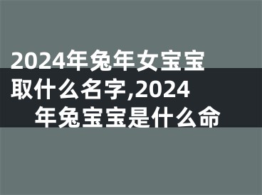 2024年兔年女宝宝取什么名字,2024年兔宝宝是什么命
