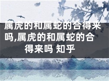 属虎的和属蛇的合得来吗,属虎的和属蛇的合得来吗 知乎
